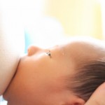 母乳からダイオキシンが検出された？！